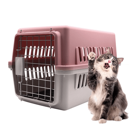 Transportadora para Gatos